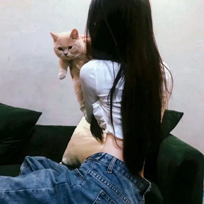 罪证子弹3 在线观看